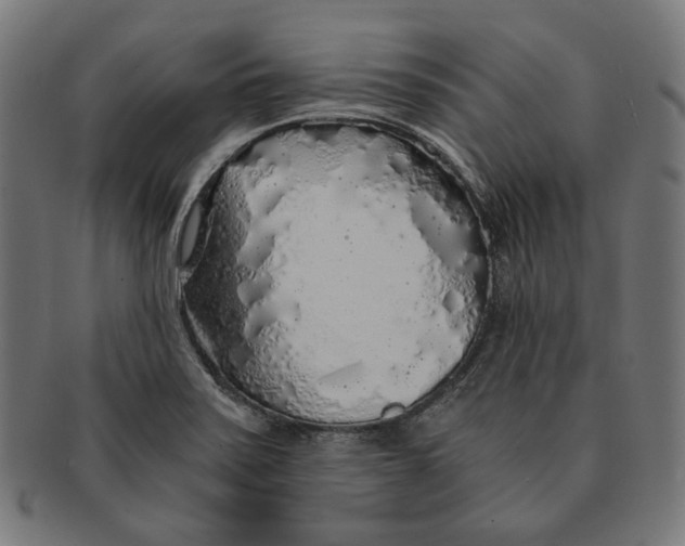 X0000091181371200709060946