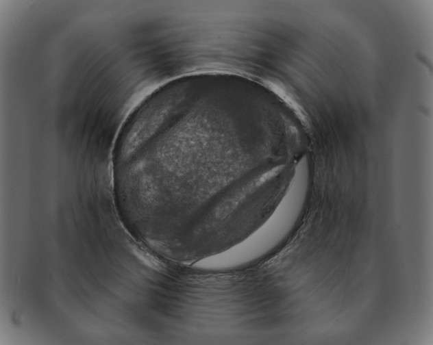 X0000091181372200709060946