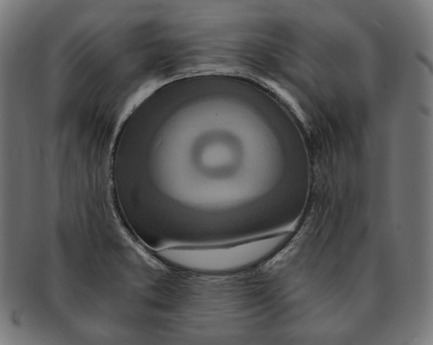 X0000091181373200709060946