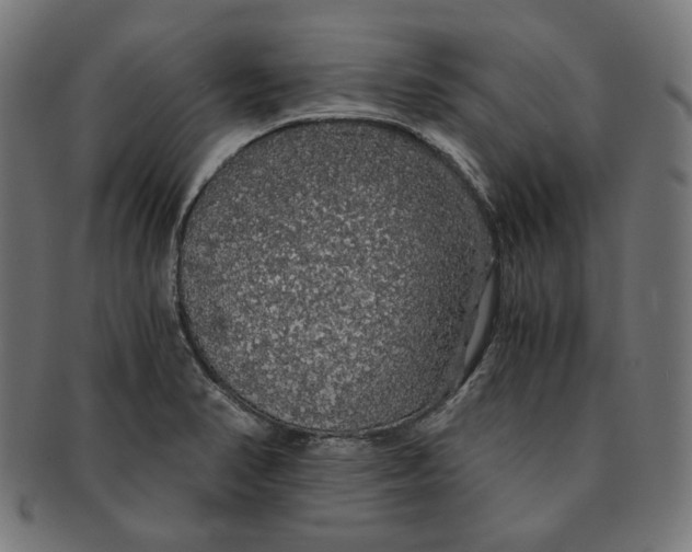 X0000091181374200709060946