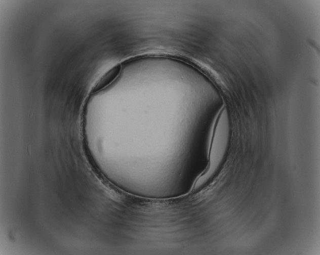 X0000091181375200709060946