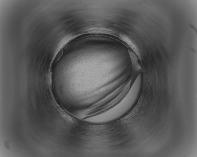 X0000091181376200709060946