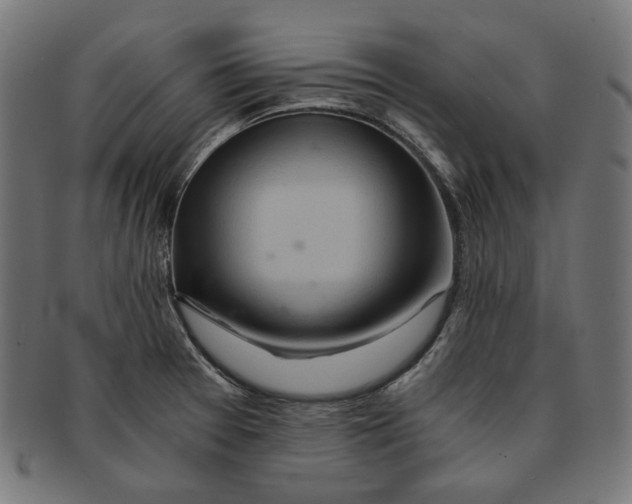 X0000091181377200709060946