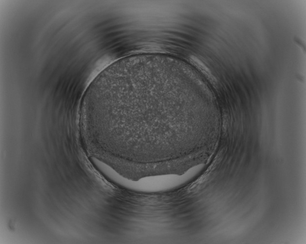 X0000091181378200709060946