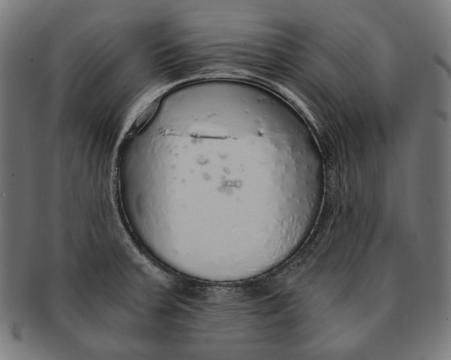 X0000091181379200709060946