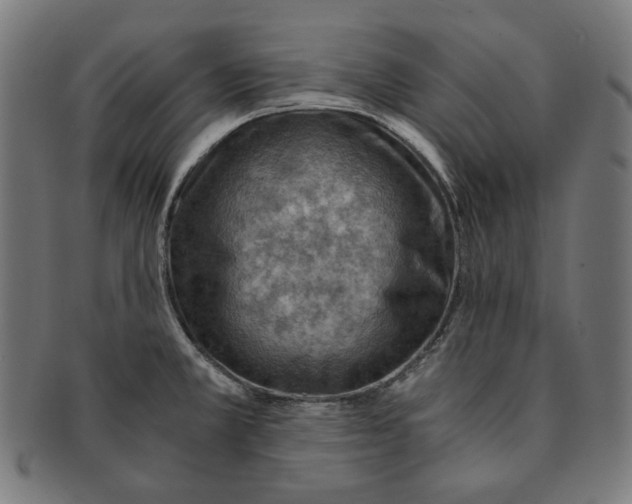 X0000091181381200709060946