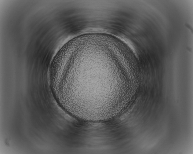 X0000091181382200709060945