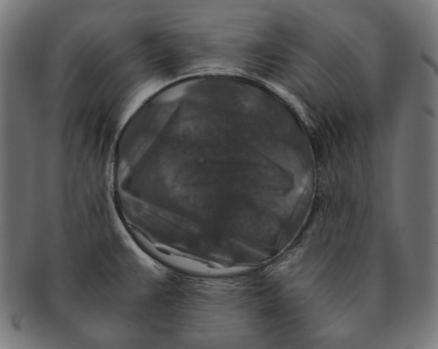 X0000091181383200709060945