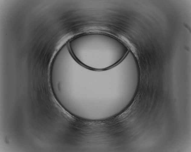X0000091181384200709060945