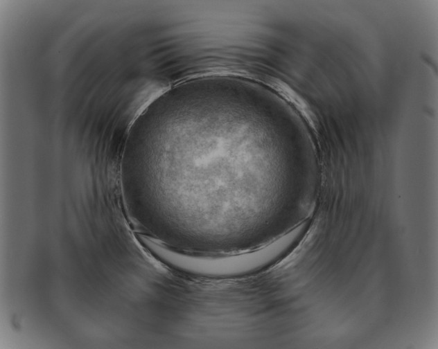 X0000091181385200709060945
