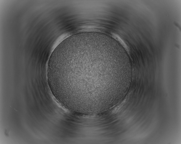X0000091181386200709060945