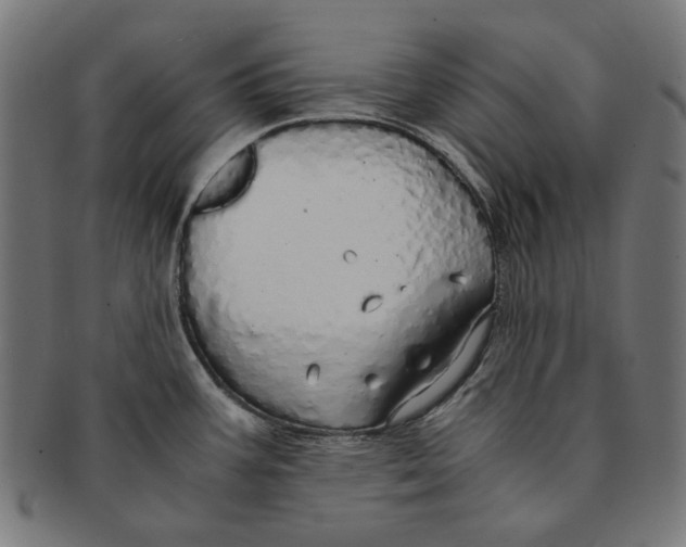 X0000091181387200709060945