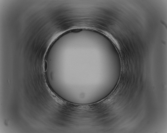 X0000091181388200709060945