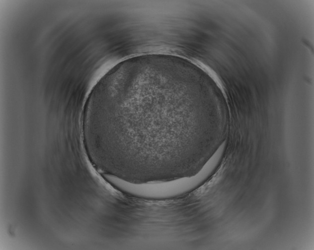 X0000091181389200709060945