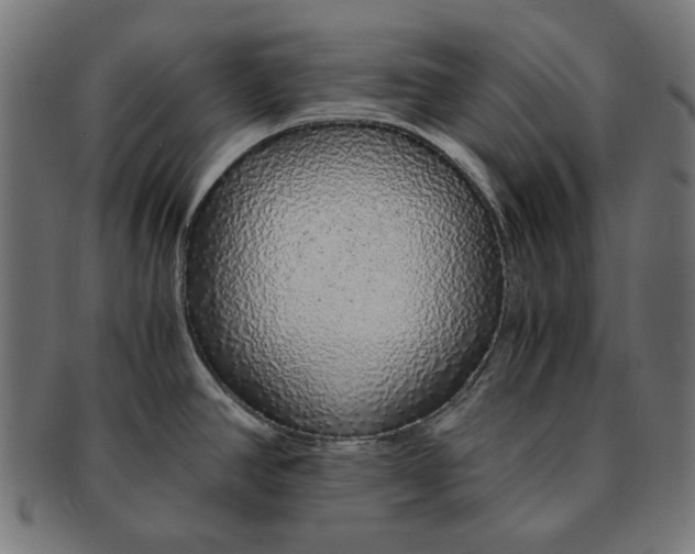 X0000091181390200709060945