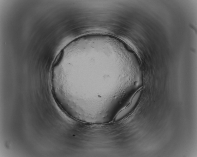 X0000091181391200709060945