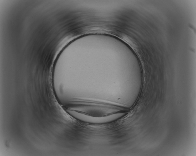 X0000091181392200709060945