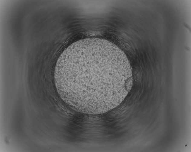 X0000091181393200709060944