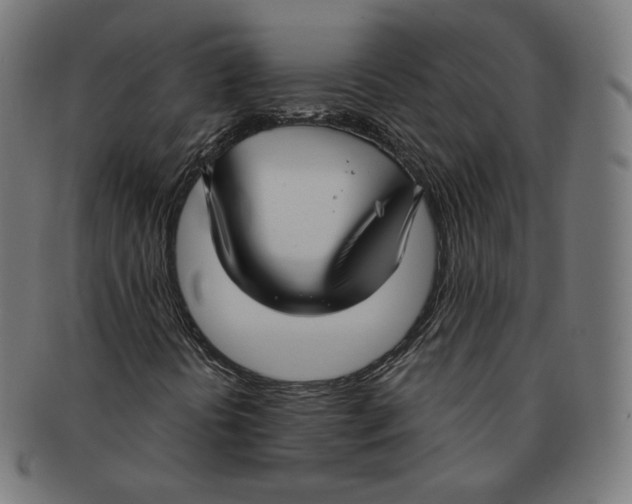 X0000091181394200709060944