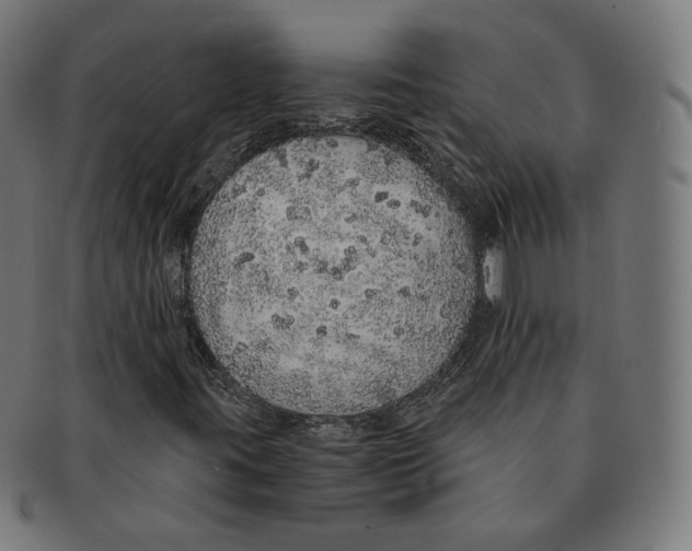 X0000091181395200709060944