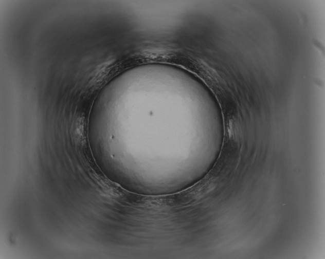 X0000091181396200709060945