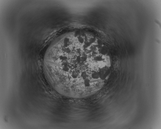 X0000091181397200709060945