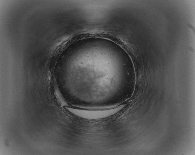 X0000091181398200709060945