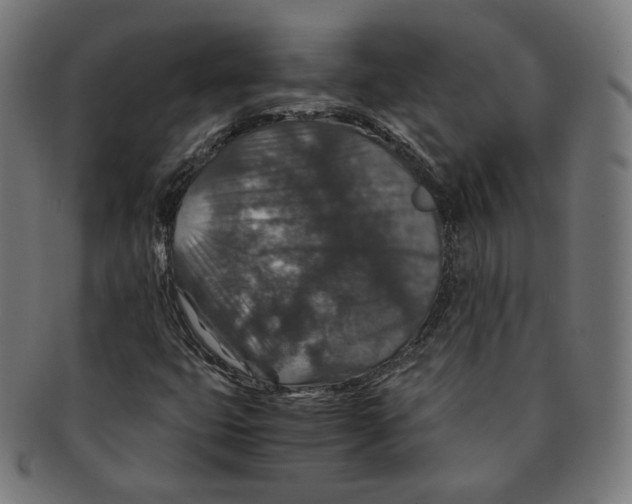X0000091181399200709060945