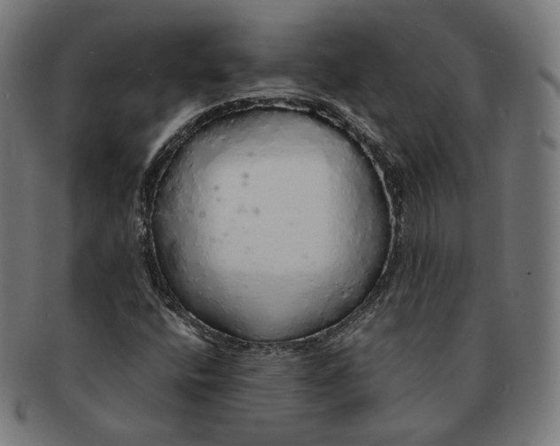X0000091181400200709060945