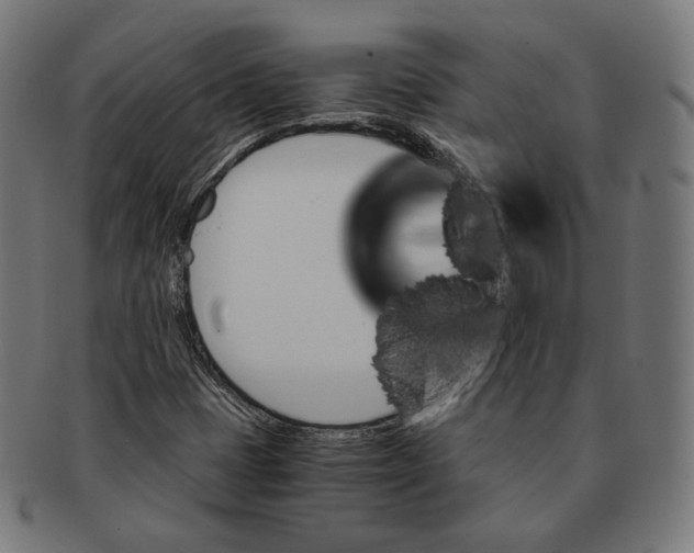 X0000091181401200709060945