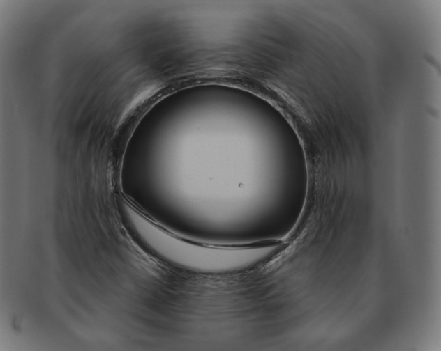 X0000091181402200709060945