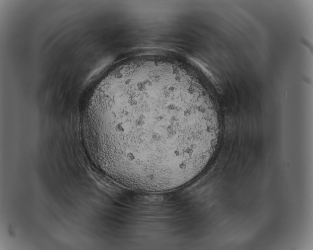 X0000091181403200709060945