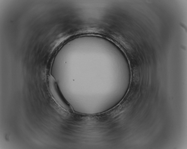X0000091181404200709060945