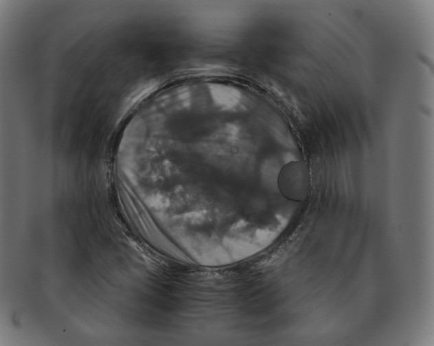 X0000091181405200709060945