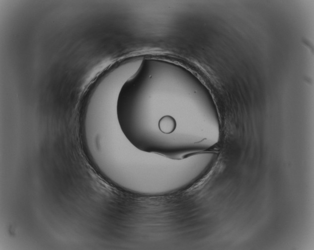 X0000091181406200709060945
