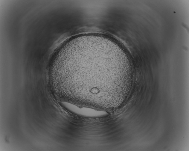 X0000091181407200709060945