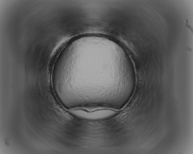 X0000091181408200709060945