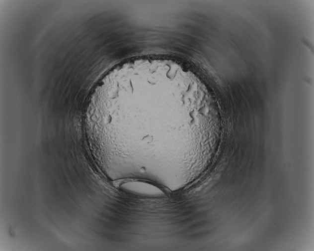 X0000091181409200709060945