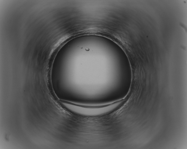 X0000091181410200709060945