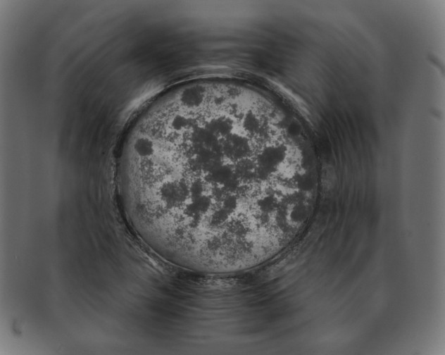 X0000091181411200709060945