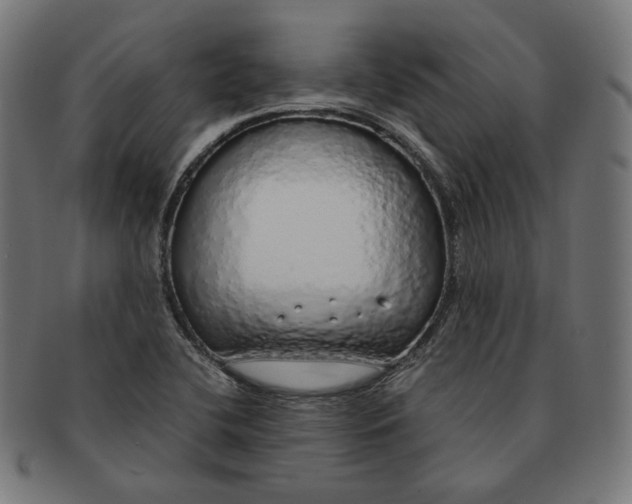 X0000091181412200709060945