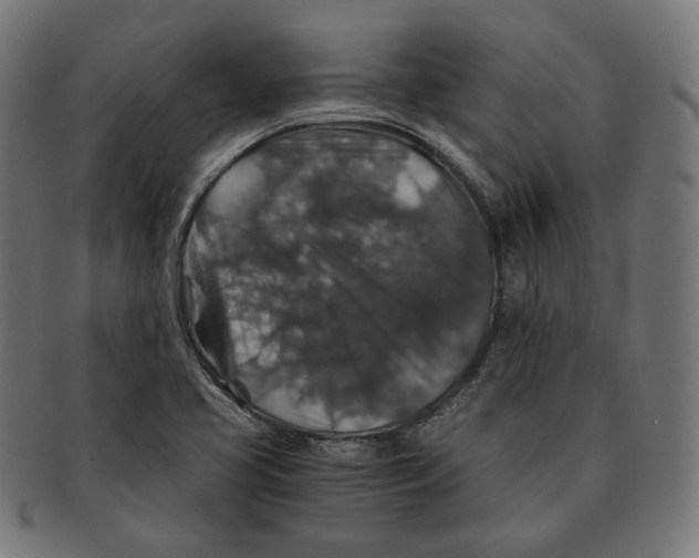 X0000091181413200709060945