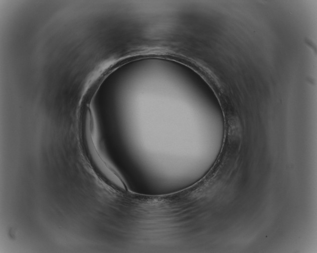 X0000091181414200709060945