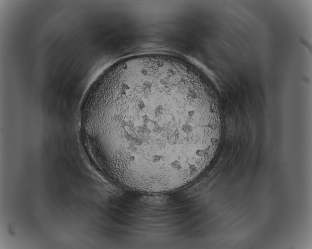 X0000091181415200709060945