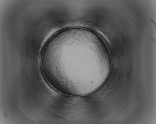 X0000091181416200709060945