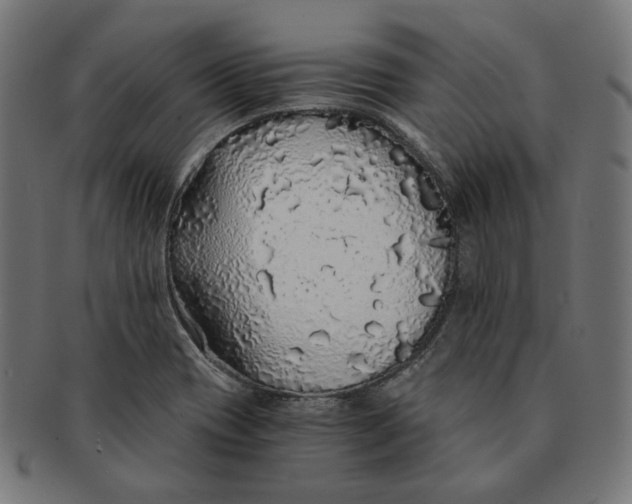 X0000091181417200709060945