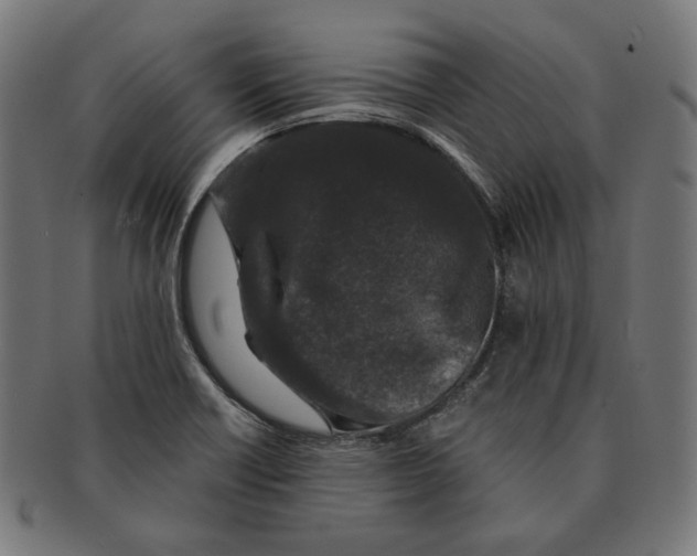 X0000091181418200709060945