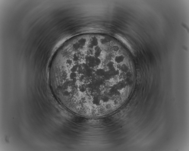 X0000091181419200709060945