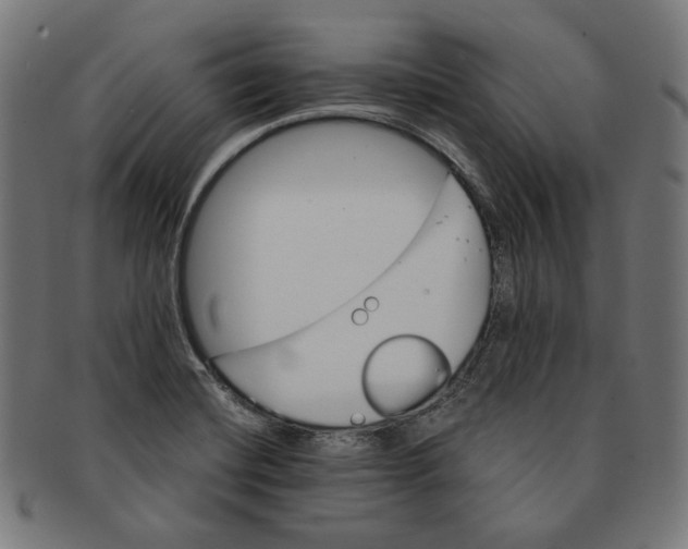 X0000091181420200709060945