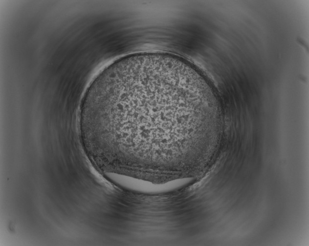 X0000091181421200709060945